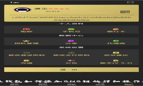 小狐钱包如何添加BNB链的详细操作指南