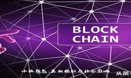 小狐钱包：真相揭秘与社会影响