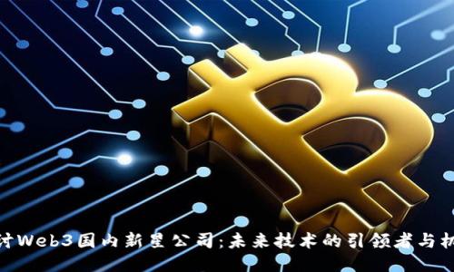 探讨Web3国内新星公司：未来技术的引领者与机遇