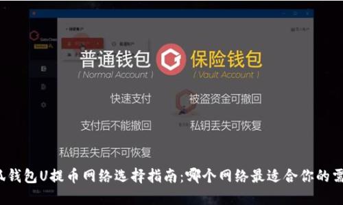 小狐钱包U提币网络选择指南：哪个网络最适合你的需求？