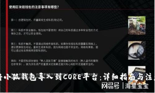 如何将小狐钱包导入到CORE平台：详细指南与注意事项