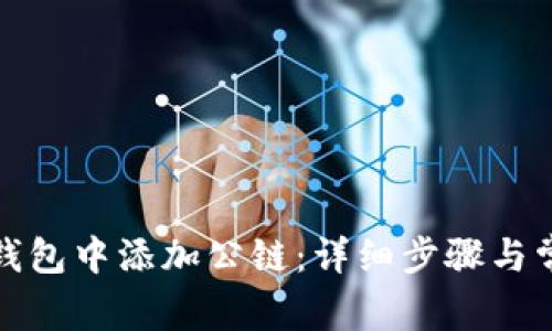 如何在小狐钱包中添加公链：详细步骤与常见问题解答