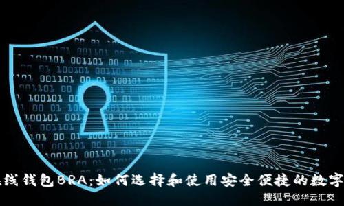 比特币在线钱包BRA：如何选择和使用安全便捷的数字货币钱包