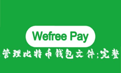 如何保护及管理比特币钱包文件：完整指南与实例