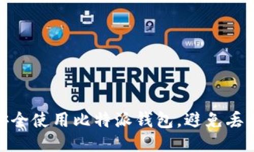 如何安全使用比特派钱包，避免丢币风险