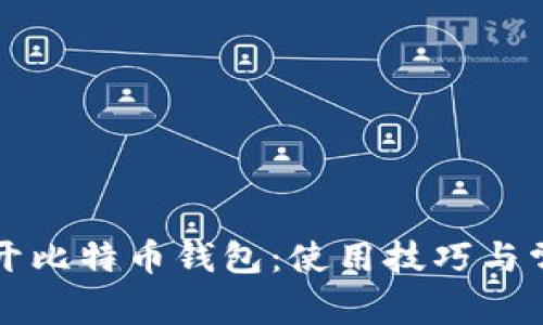 如何快速打开比特币钱包：使用技巧与常见问题解析