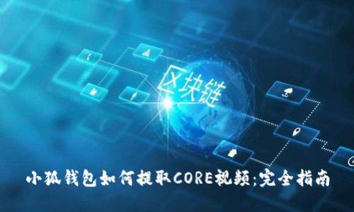 小狐钱包如何提取CORE视频：完全指南