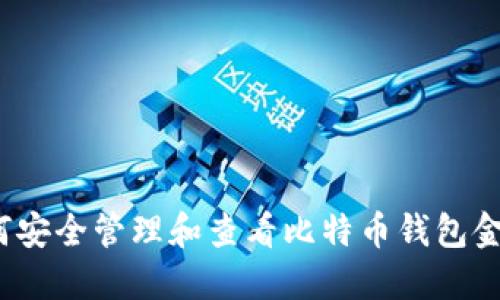 如何安全管理和查看比特币钱包金额？